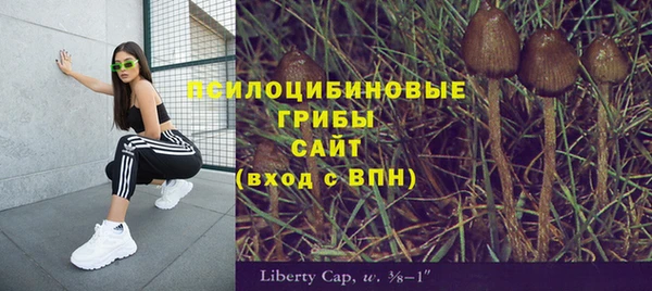 кокаин Белокуриха